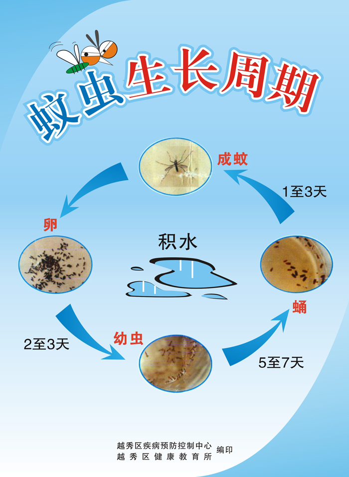 防蚊防积水,防控登革热